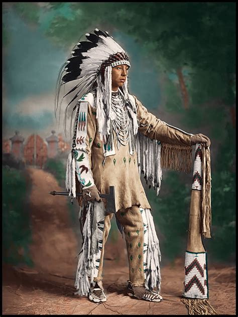 Native Indians Bodog